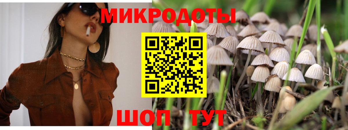 Псилоцибиновые грибы Cubensis  Вход с VPN  Невинномысск 